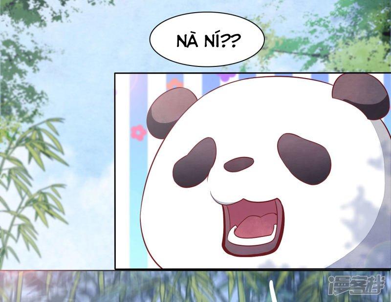 Xuyên Về Cổ Đại Làm Quốc Bảo: Chapter 0