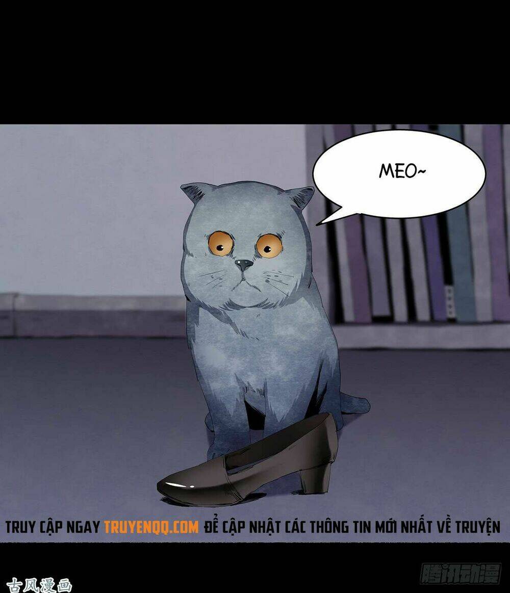 Ẩn Số Về Tứ Gia: Chapter 2