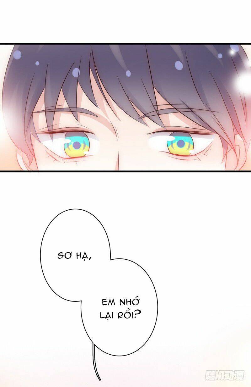 Thư Tay Tình Yêu Của Sơ Hạ: Chapter 5