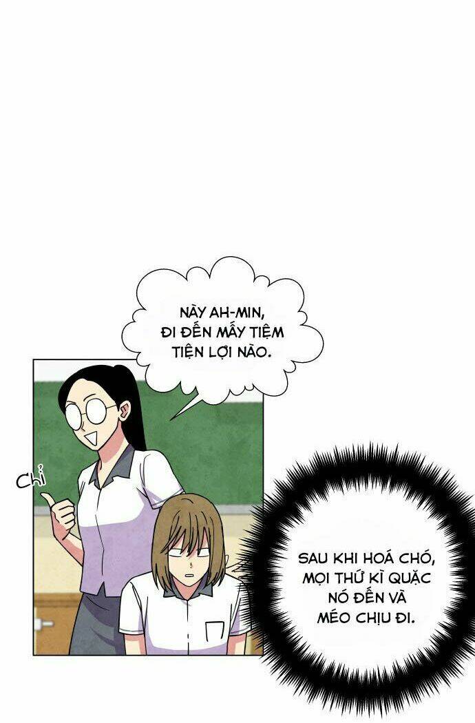 Tai Sói Và Mũ Đỏ: Chapter 12