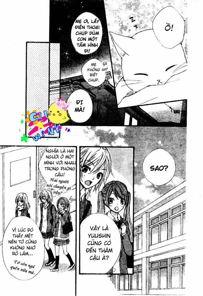 Tình Yêu Của Hiyo: Chapter 5