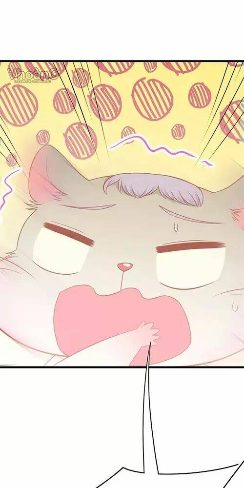 Kế Ước Ngọt Sủng:quốc Dân Lão Công Đích Tiểu Chiếm Giữ Thử: Chapter 2