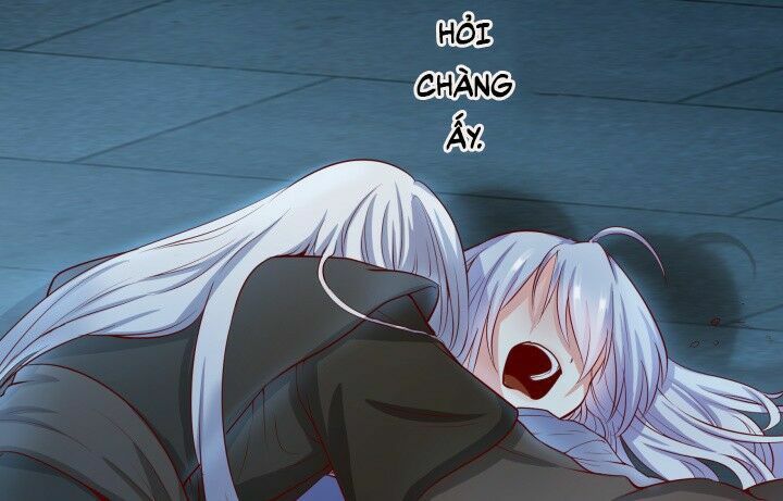 Đô đốc đại nhân sủng thê kí: Chapter 1.3