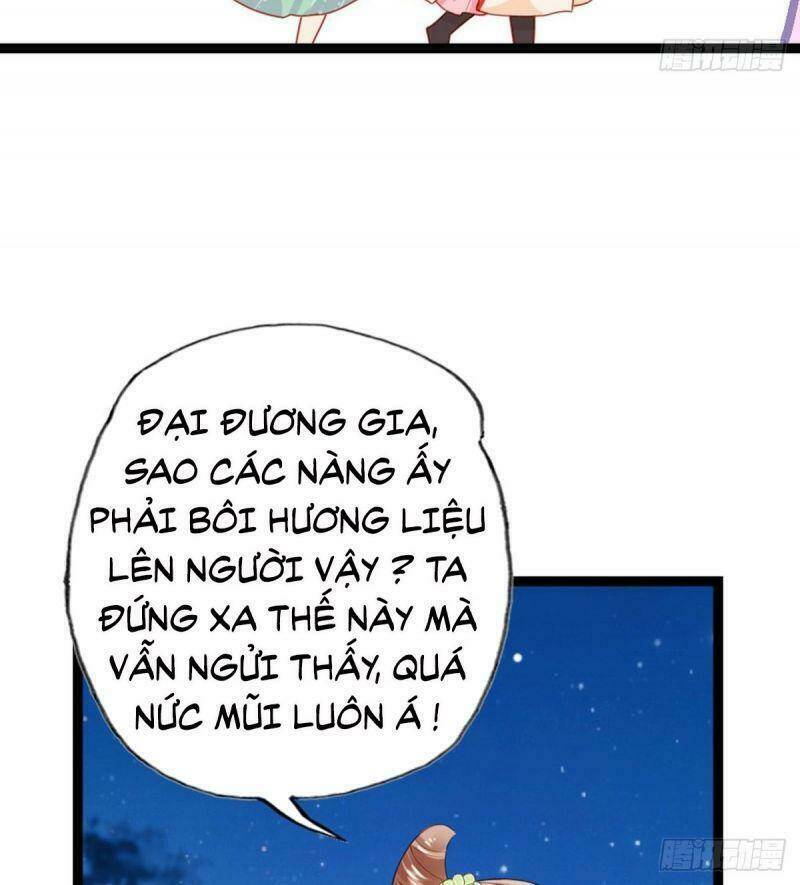 Đứng Lại! Phụng Chỉ Ăn Cướp: Chapter 17