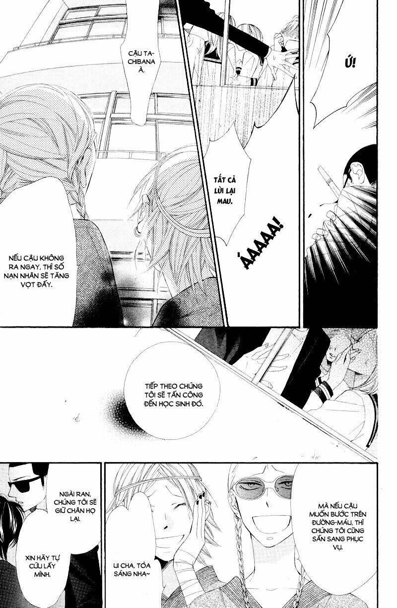 Hoa Trong Bão: Chapter 8