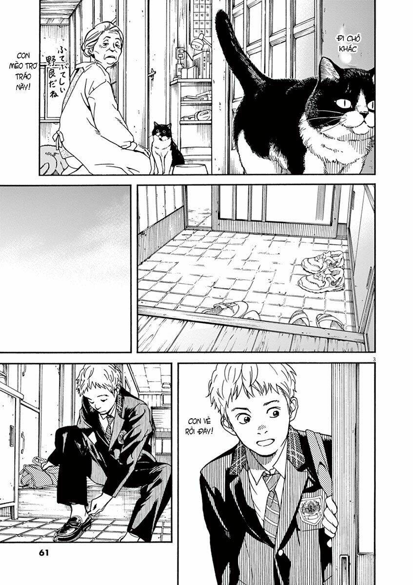 Neko No Otera No Chion-San: Chapter 21