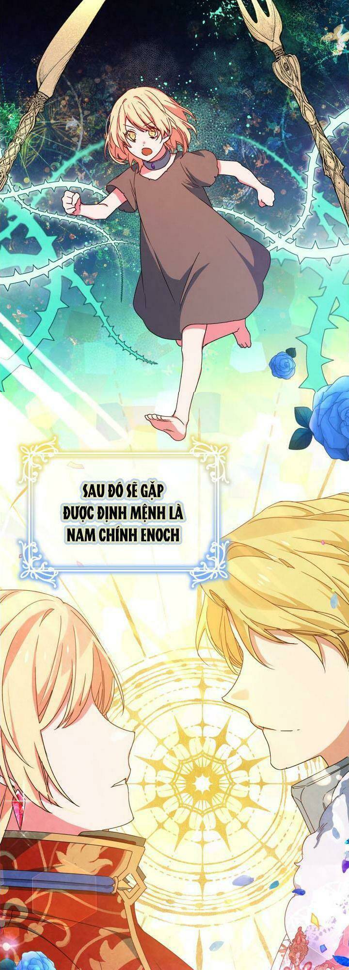 Nàng Elizabeth Thuần Khiết: Chapter 5