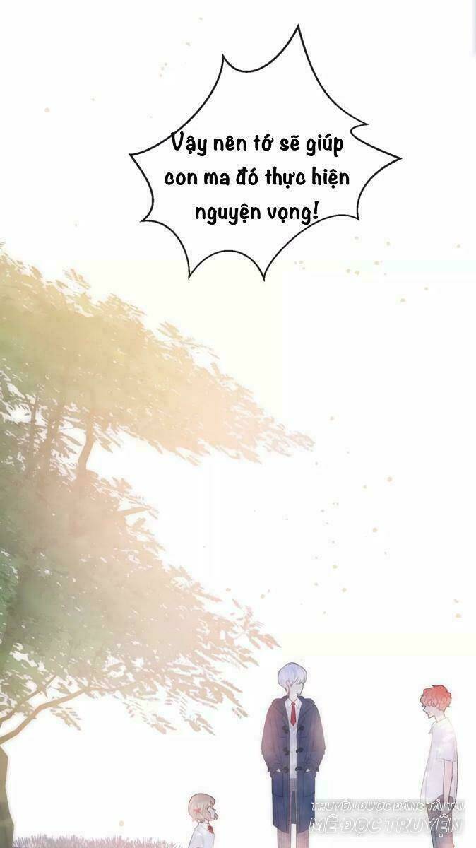 Từ Cái Nhìn Của Em: Chapter 24