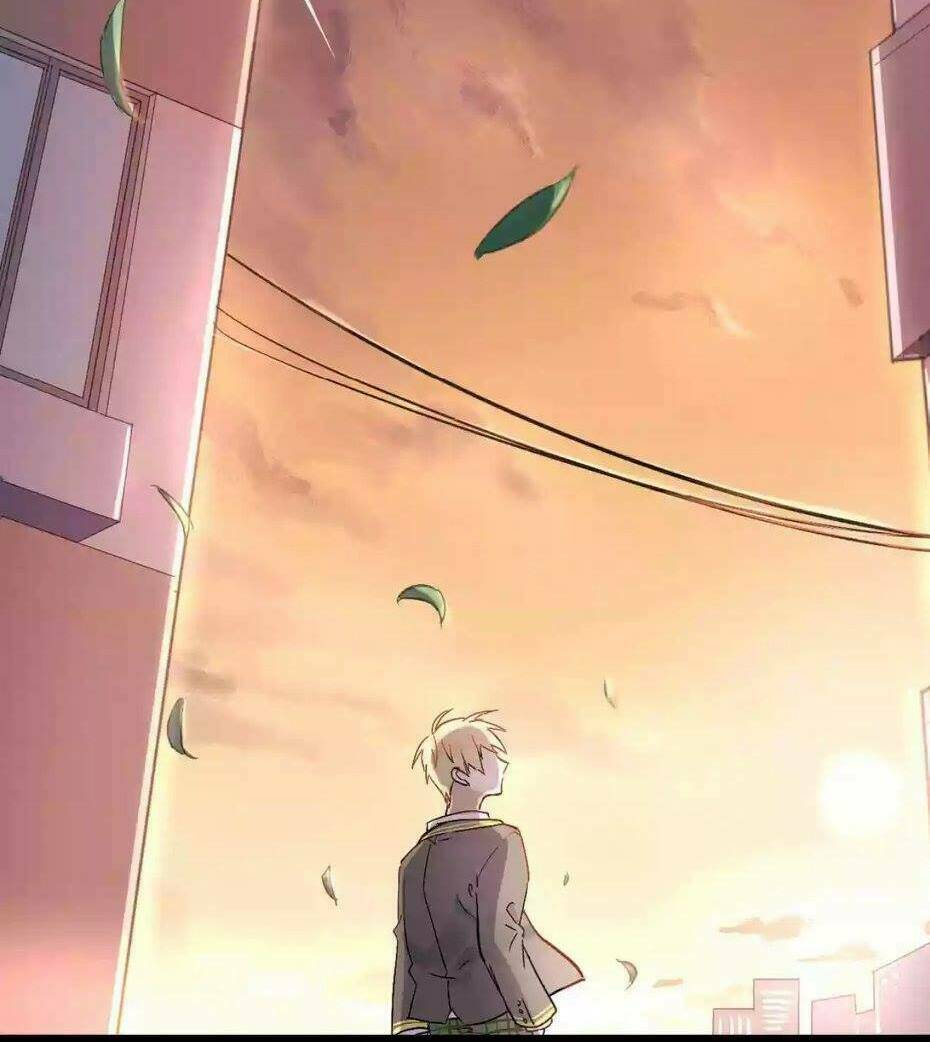 Đầu Gấu Biết Yêu: Chapter 1