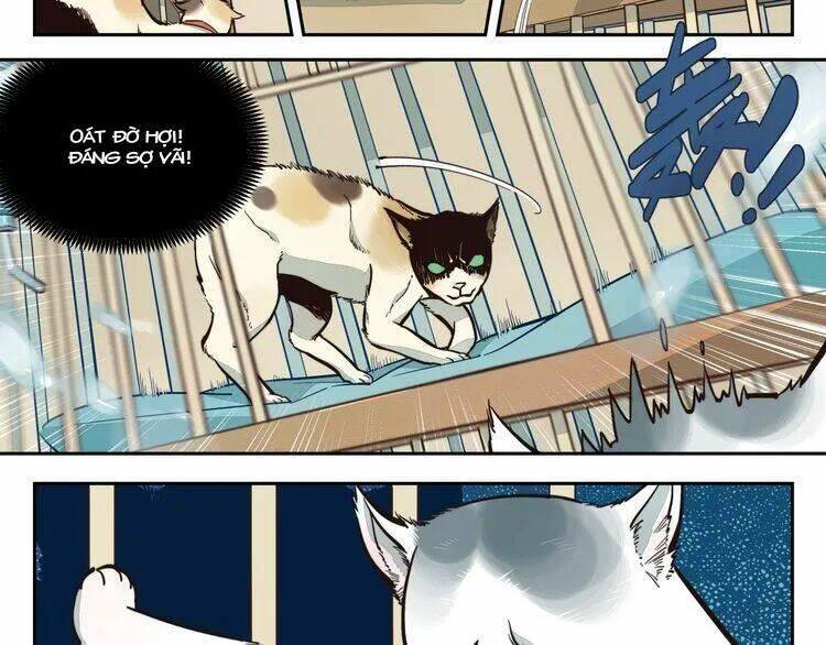 Thời Khắc Ấy, Chúng Ta Gặp Nhau: Chapter 10