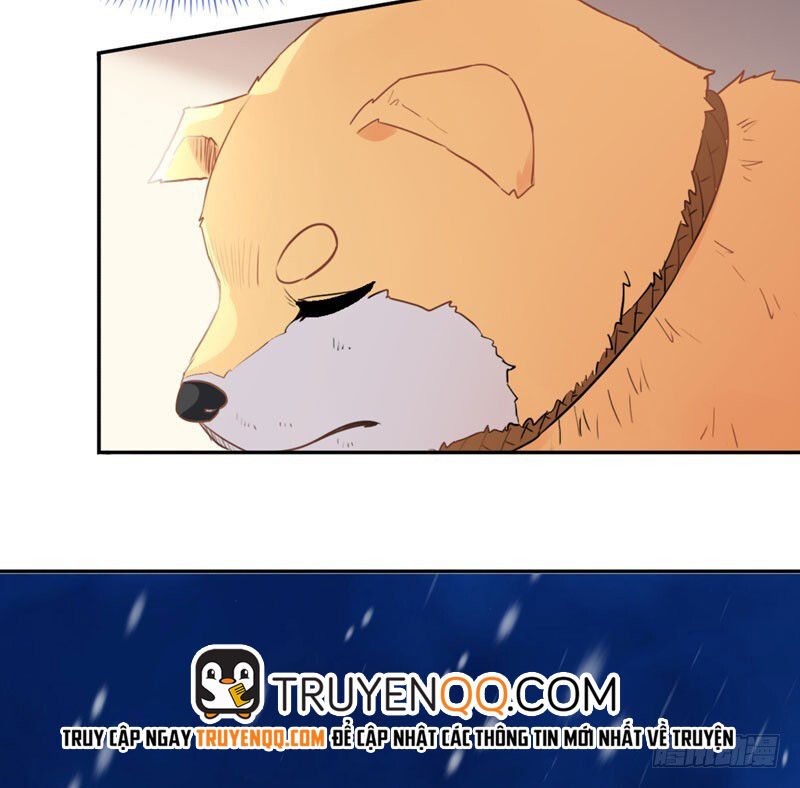 Lụ Đạn, Hôm Nay Lại Cũng Không Thể Biến Thành Người Được: Chapter 1