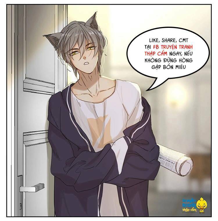 Cứu Mạng! Loài Mèo Thống Trị Thế Giới Rồi!: Chapter 17