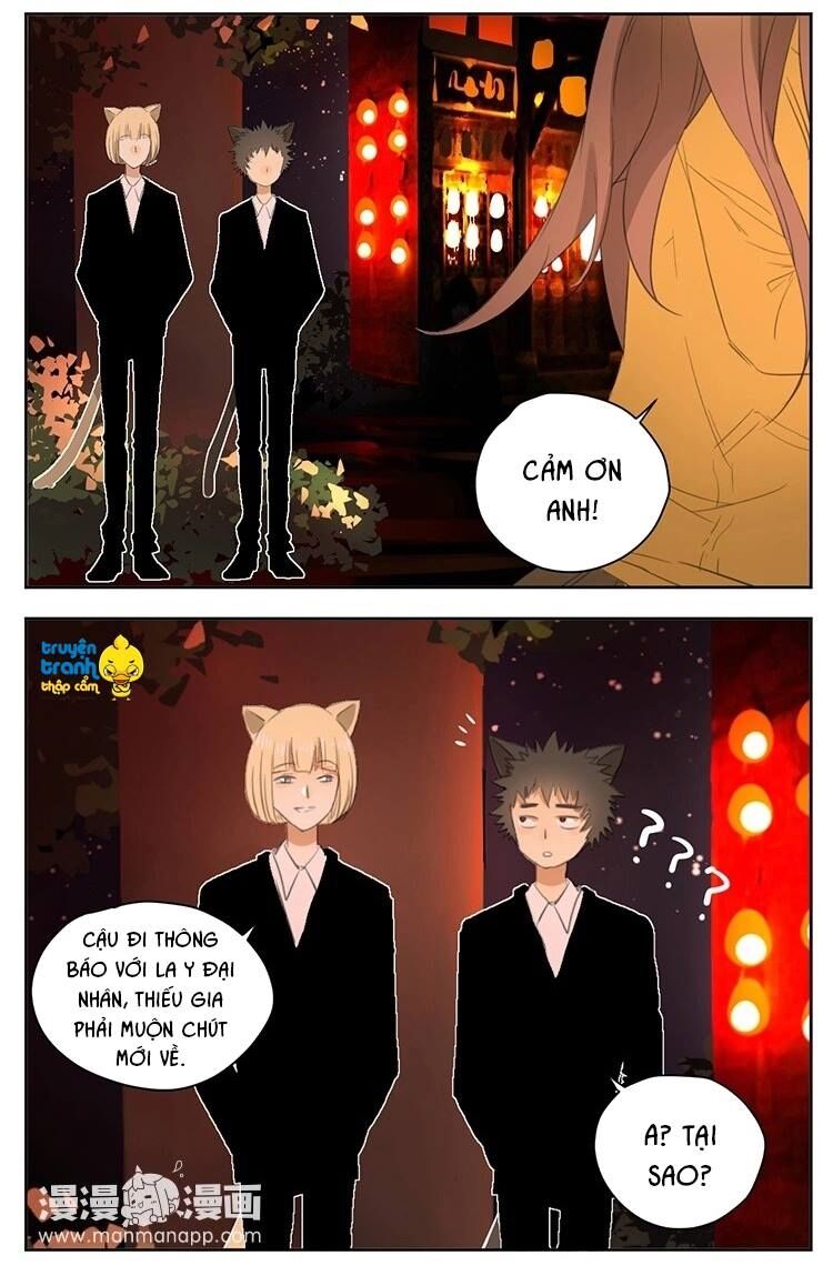 Cứu mạng ! Loài mèo thống trị thế giới rồi !: Chapter 22