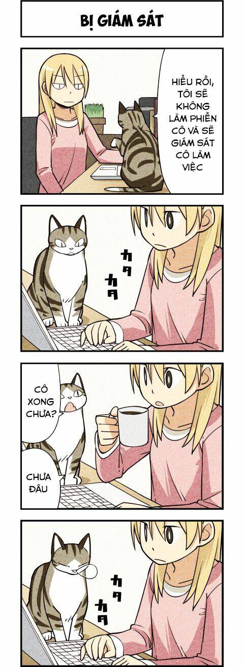 We Are Cat: Chapter 13