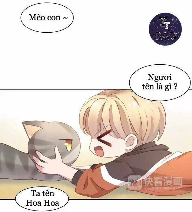 Dưới Móng Vuốt Mèo: Chapter 20