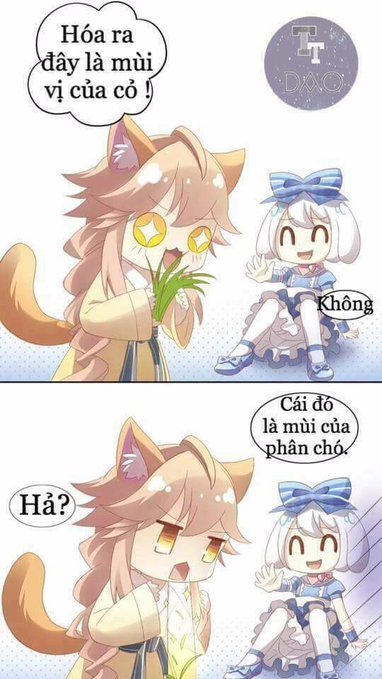 Dưới Móng Vuốt Mèo: Chapter 7