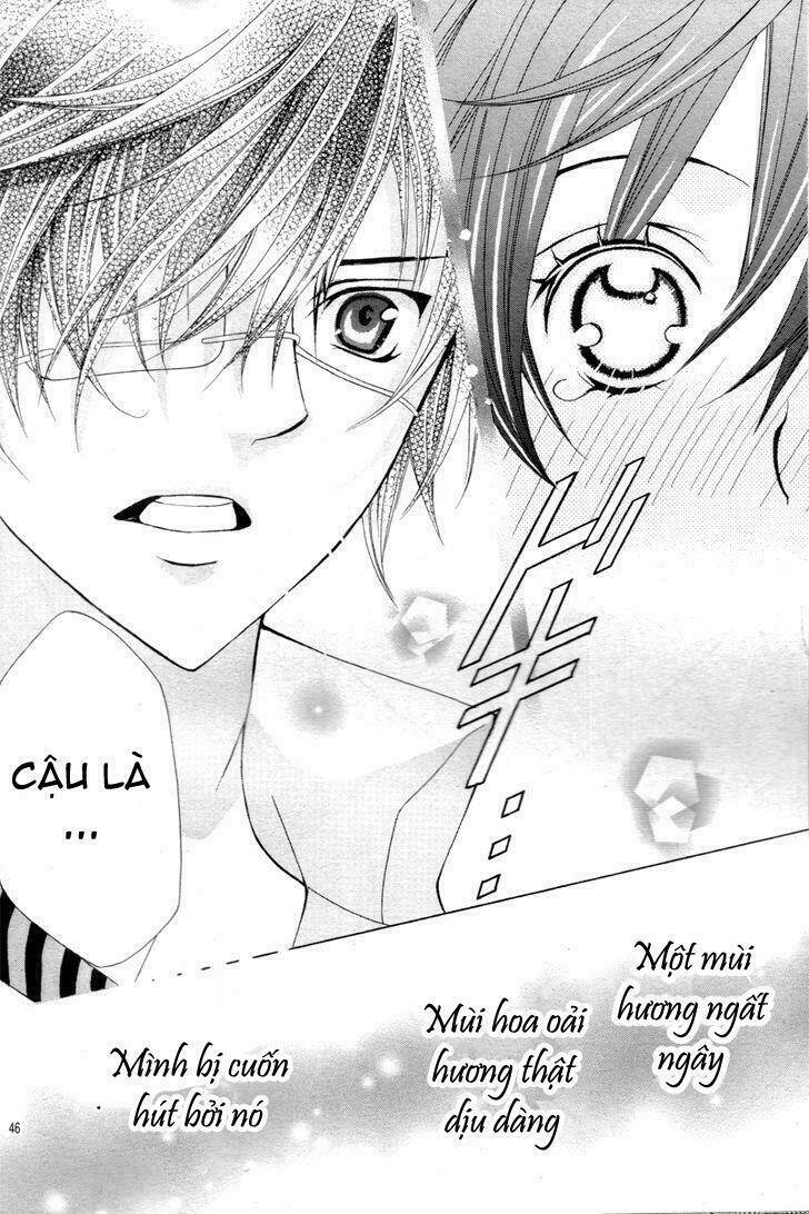 Cuộc Gặp Gỡ Diệu Kỳ: Chapter 1