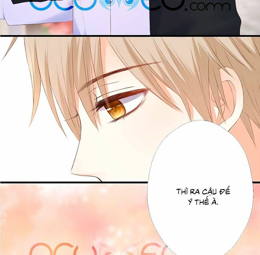 Đóa Hoa Chớm Nở: Chapter 62