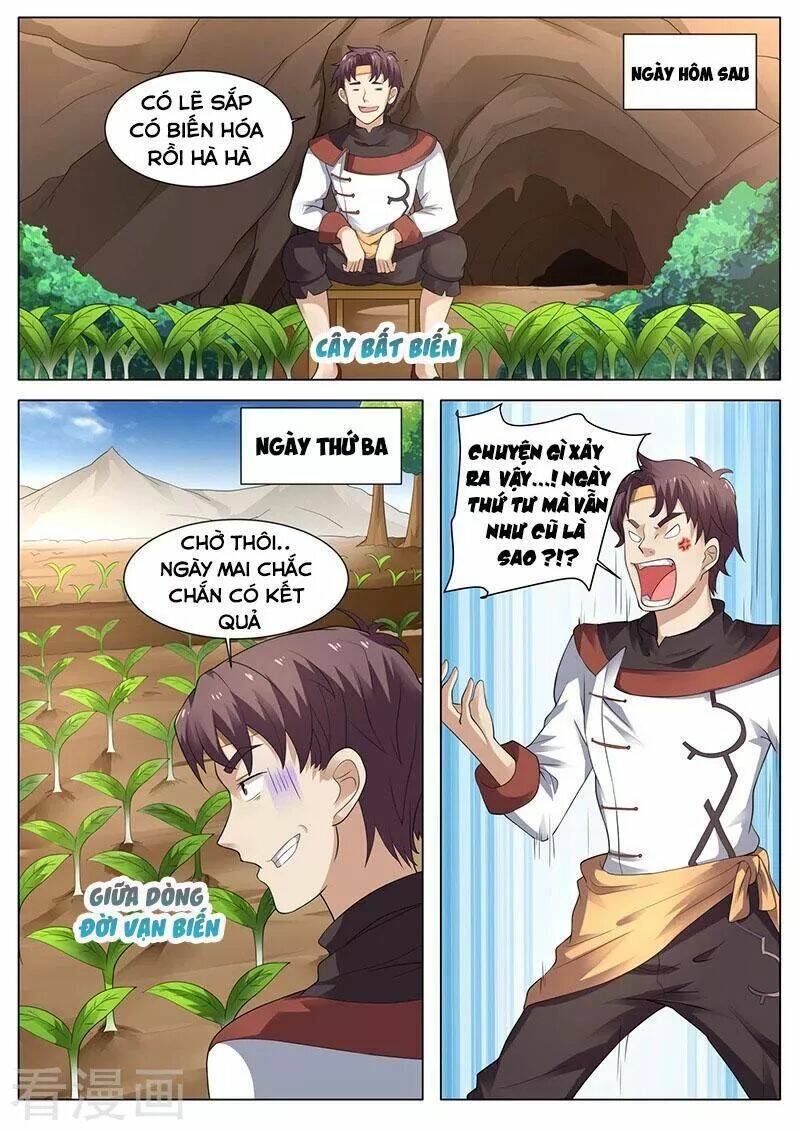 Siêu Cấp Thần Y Hệ Thống: Chapter 37