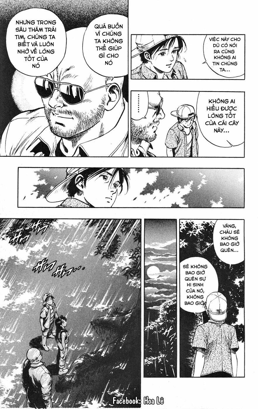 Cô Bé Mặt Trời: Chapter 6