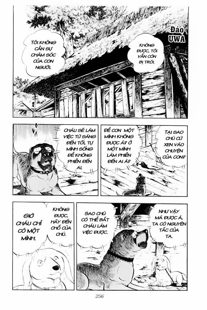 Chú Chó Có Nghĩa - Ginga Nagareboshi Gin: Chapter 30.1
