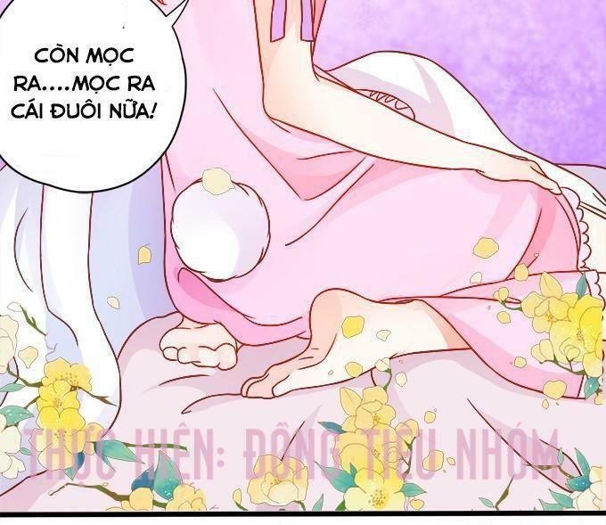 Hồ Tiên Hung Bạo: Chapter 12
