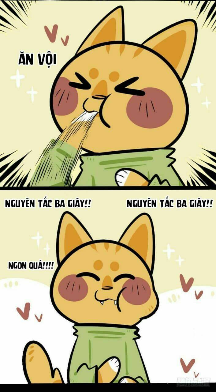 Đời Không Như Mình Tưởng: Chapter 3
