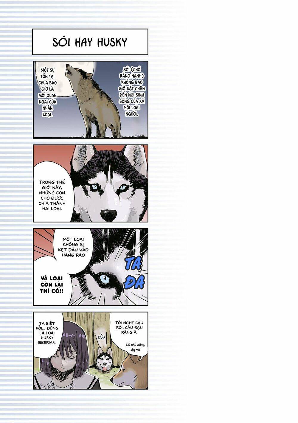 Lang Thang Miền Tận Thế Với Chú Chó Shiba Của Tôi: Chapter 11