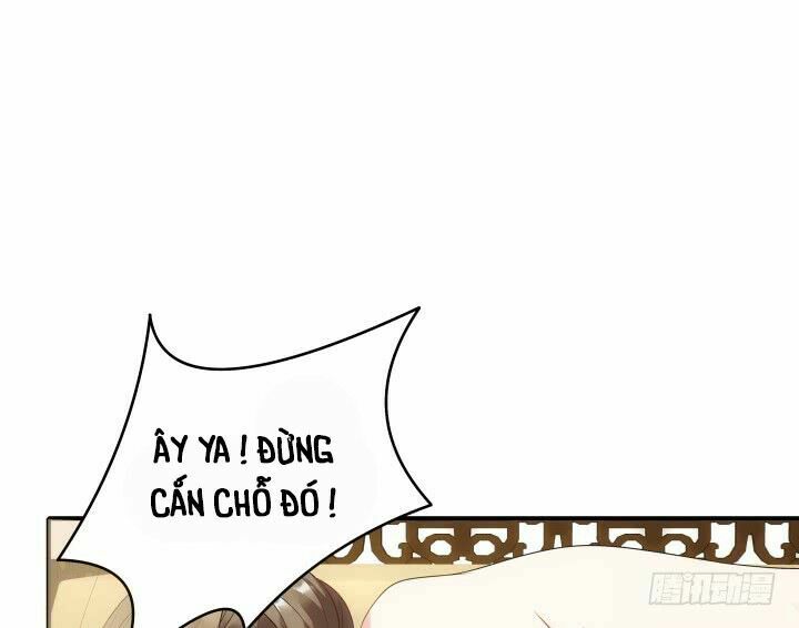 Đô đốc đại nhân sủng thê kí: Chapter 11.2