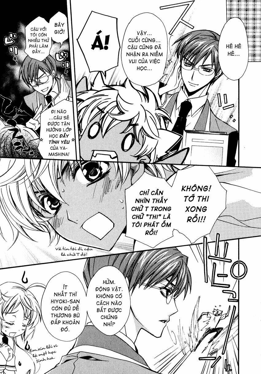 S.L.H (Stray Love Hearts): Chapter 6