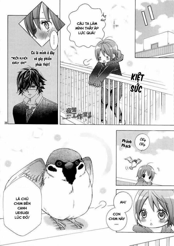 Cuộc Gặp Gỡ Diệu Kỳ: Chapter 31