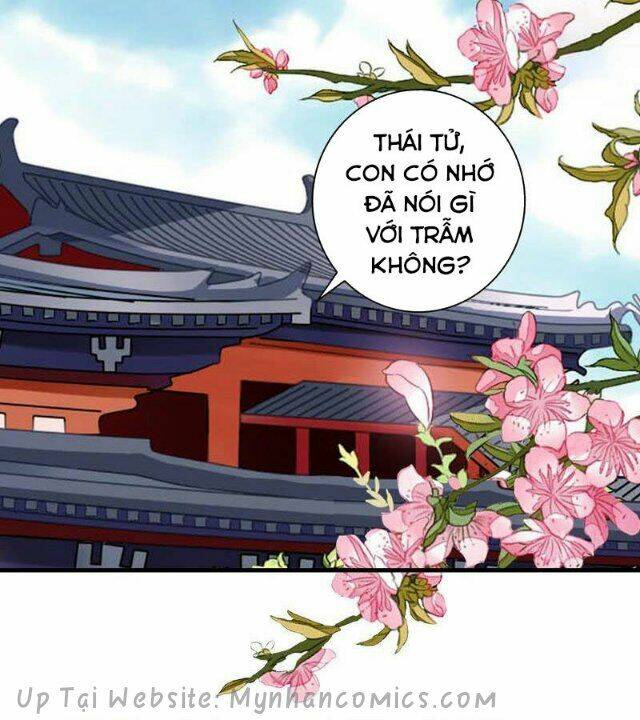 Thái Tử Điện Hạ Có Tin Vui: Chapter 77