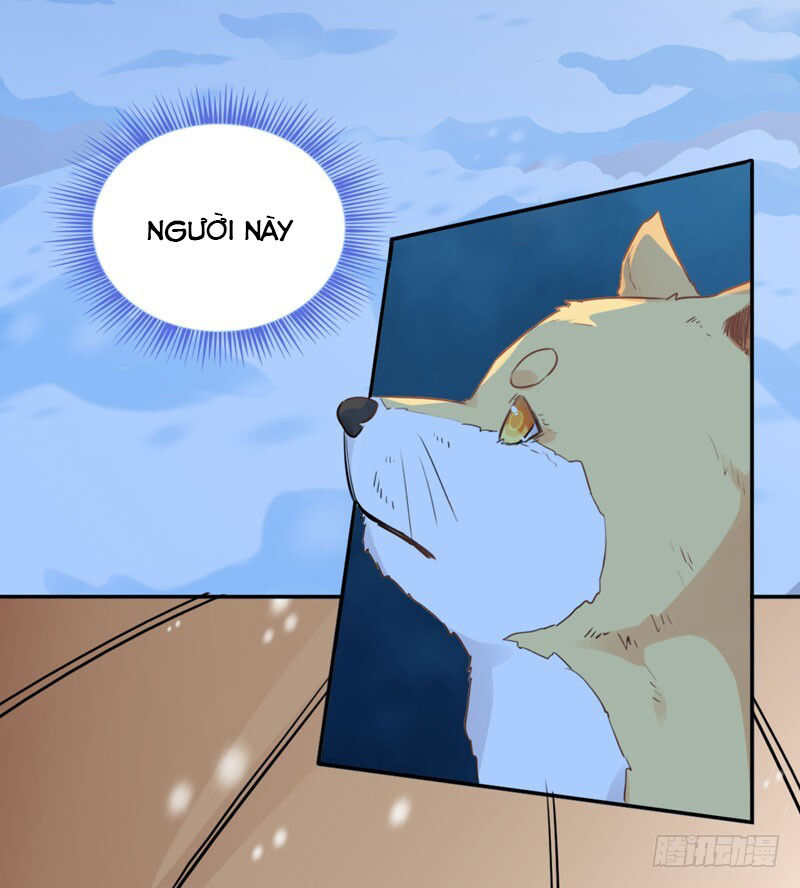 Lụ Đạn, Hôm Nay Lại Cũng Không Thể Biến Thành Người Được: Chapter 1