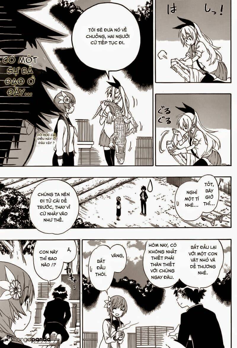 Tình Yêu Ngang Trái: Chapter 142