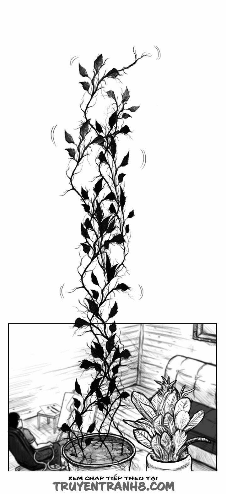 Hạt Giống Mỹ Nhân: Chapter 2
