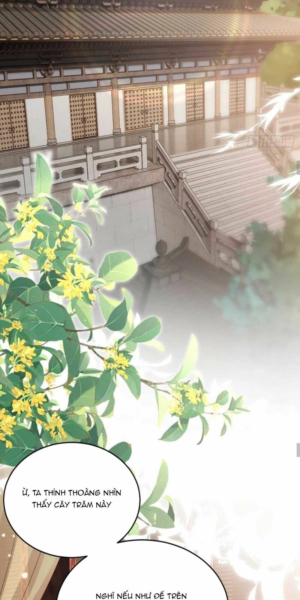 Mau Xuyên Không Rửa Tội Cho Nhân Vật Phản Diện: Chapter 139