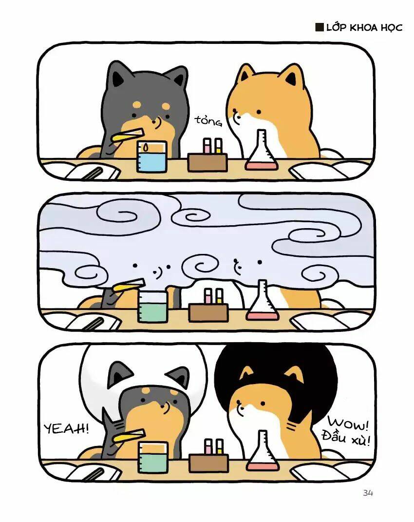 Taru Shiba: Chapter 2