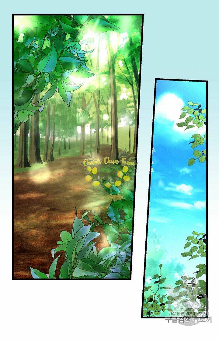 Hôn Lễ Báo Thù: Chapter 13