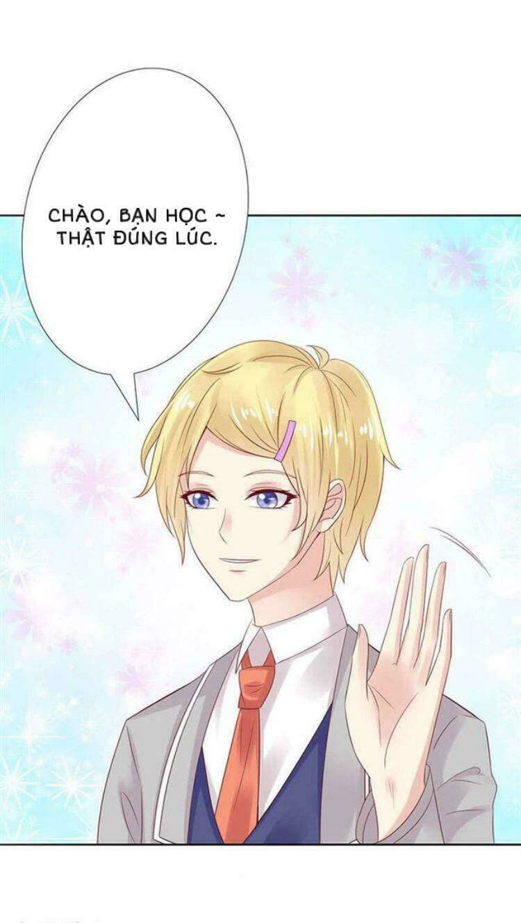 Băng Sơn Học Trưởng Không Được Chọc: Chapter 17