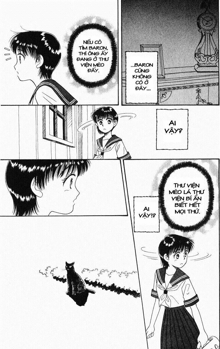 Lời Thì Thầm Từ Trái Tim: Chapter 5