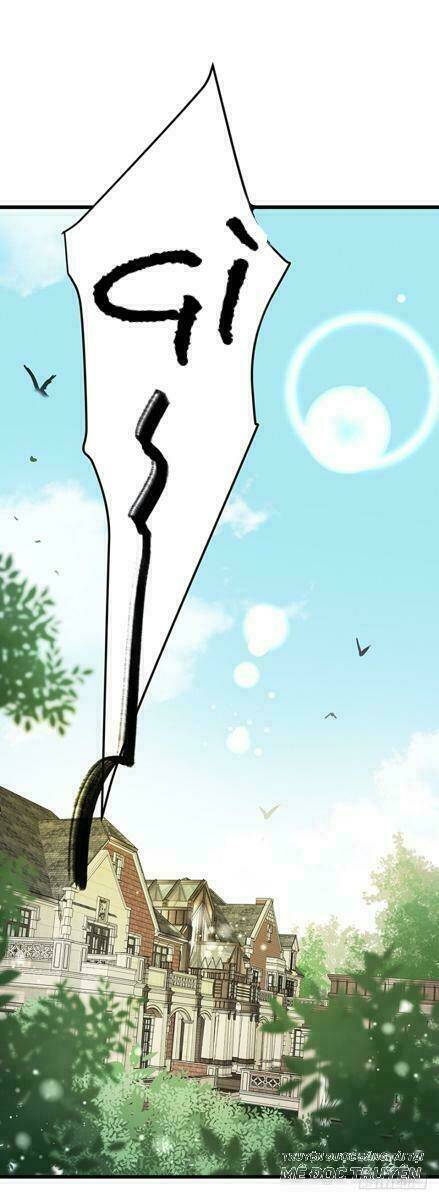 Chào Buổi Sáng, Ức Vạn Manh Thê: Chapter 5