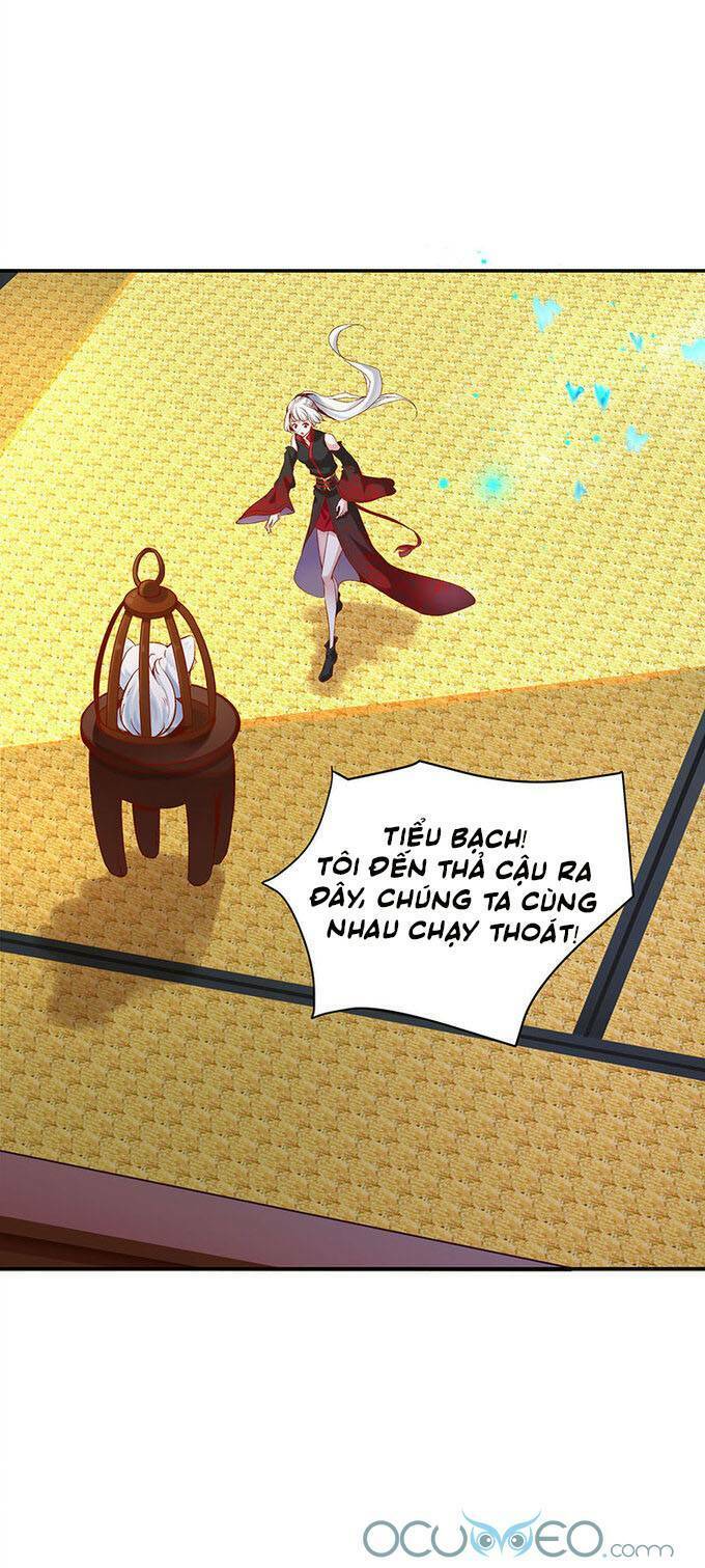 Minh Đế Độc Sủng Âm Dương Phi: Chapter 19