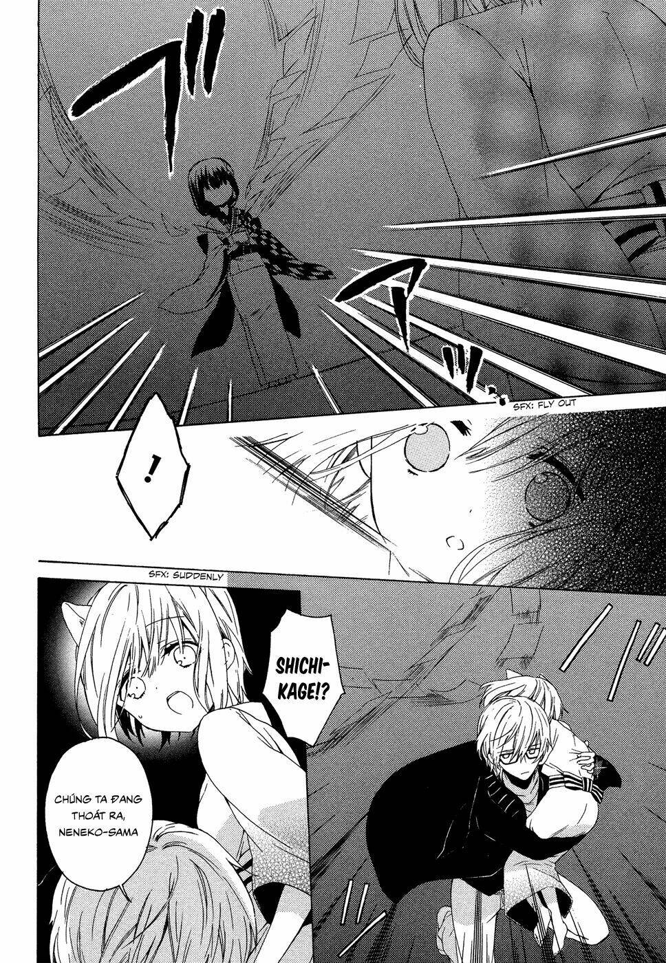 Kudamimi No Neko: Chapter 1