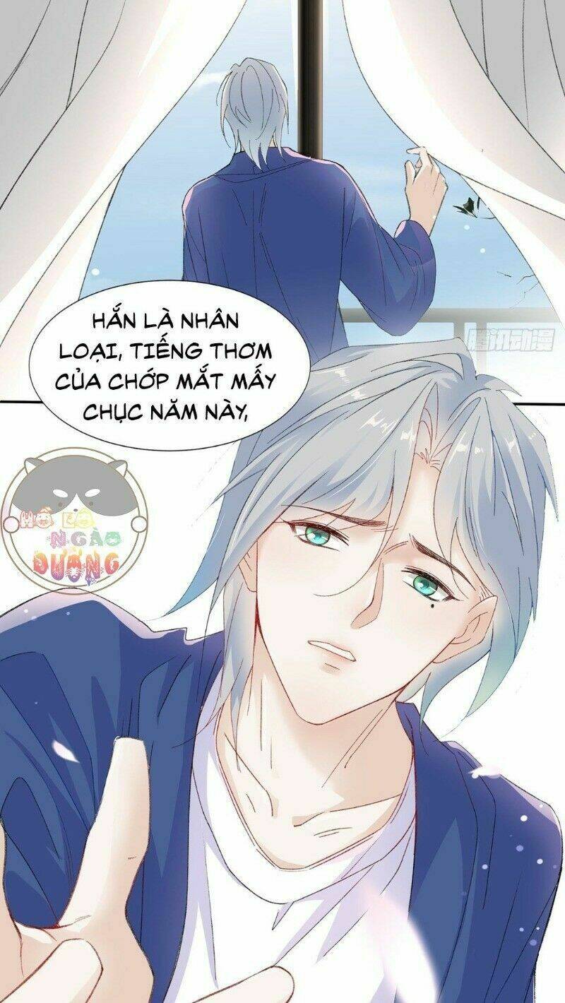 Ảnh Đế Yêu Hồ: Chapter 21