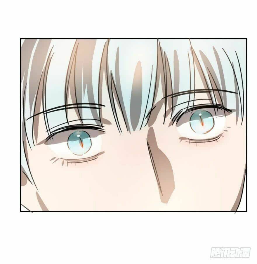 Truy Bắt Ngao Ngao: Chapter 8