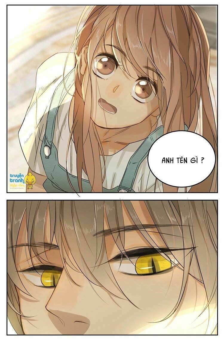 Cứu Mạng! Loài Mèo Thống Trị Thế Giới Rồi!: Chapter 13