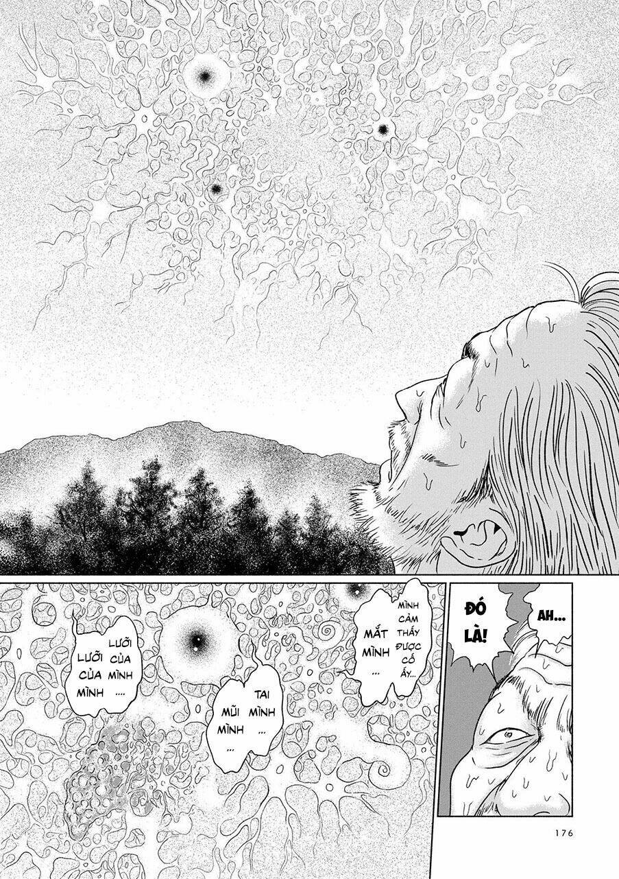 Ngôi Làng Bị Lãng Quên: Chapter 6