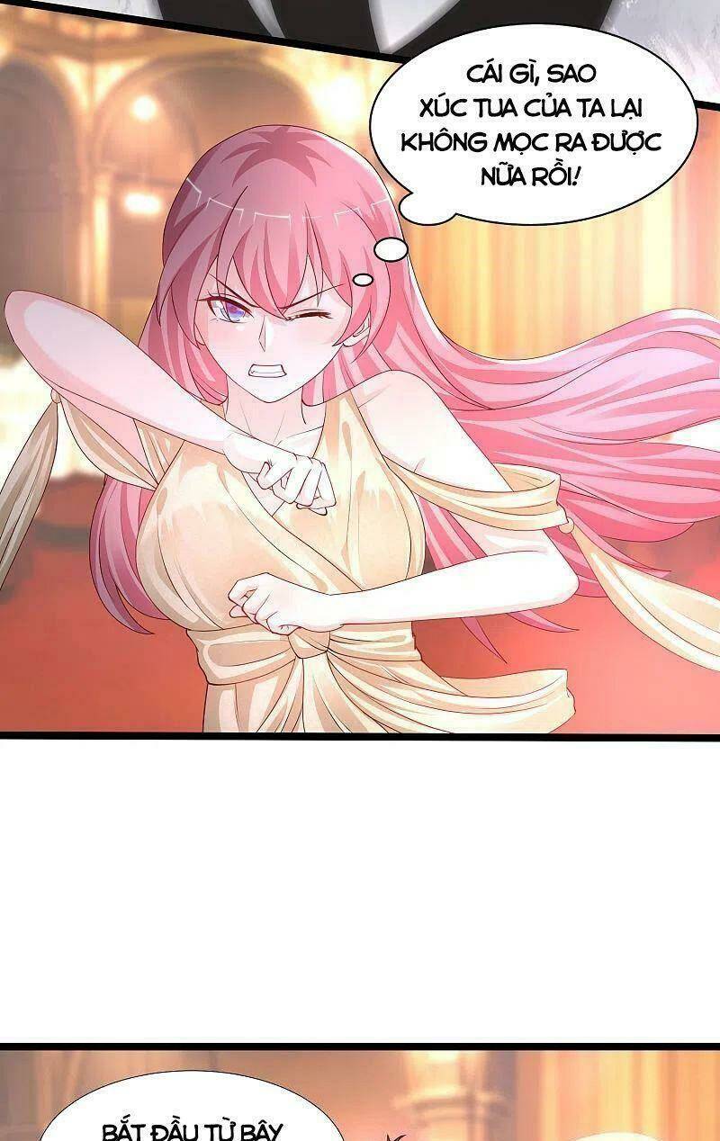 Tối Cường Vận Đào Hoa: Chapter 245