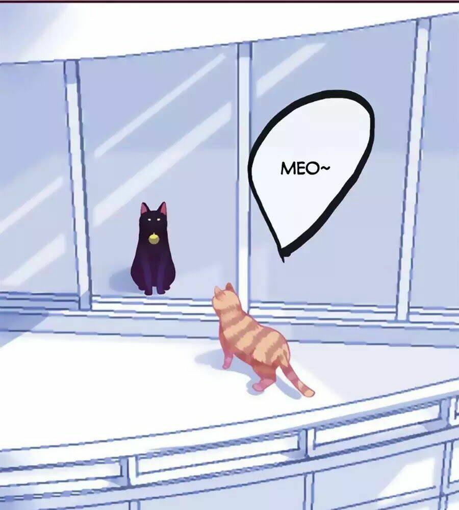 Đừng Nghịch, Ta Chỉ Muốn Yên Tĩnh: Chapter 69