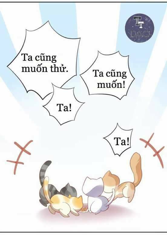 Dưới Móng Vuốt Mèo: Chapter 6